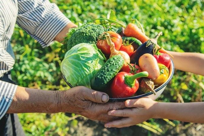 Crédito do BNDES para agricultura familiar aumenta 277% no Norte e Nordeste